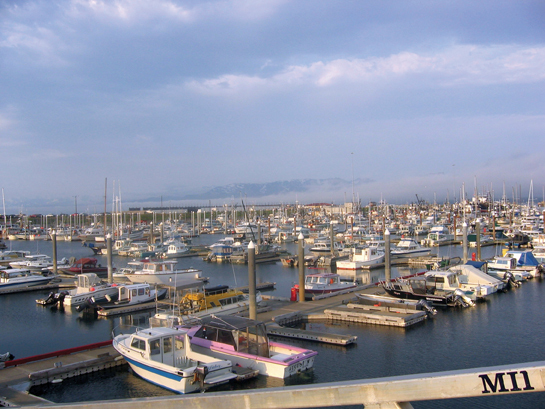 Homer Alaska Harbor